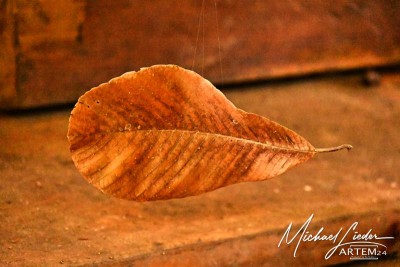 Meditative Stimmungen
